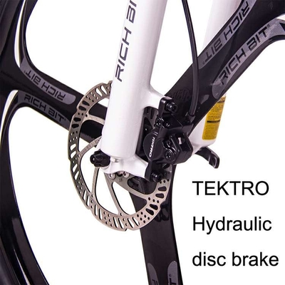 36v Ebike Folding Mountain Bike Electric Cycle Lunar Frame Richbit Top 880 250w 9.6ah