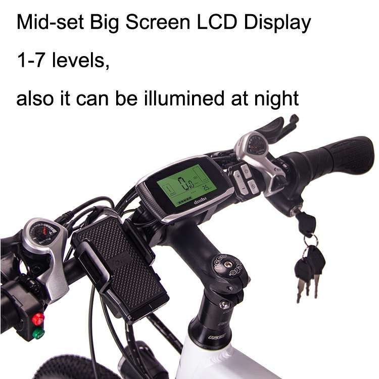 36v Ebike Folding Mountain Bike Electric Cycle Lunar Frame Richbit Top 880 250w 9.6ah